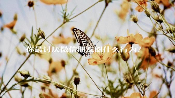 你最讨厌微信朋友圈什么行为？