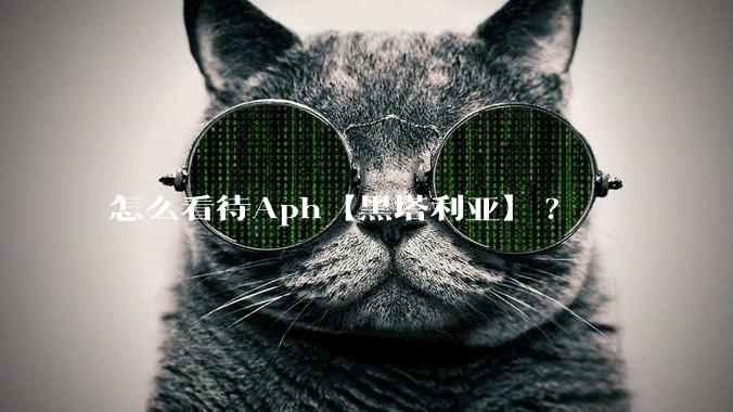 怎么看待Aph【黑塔利亚】?